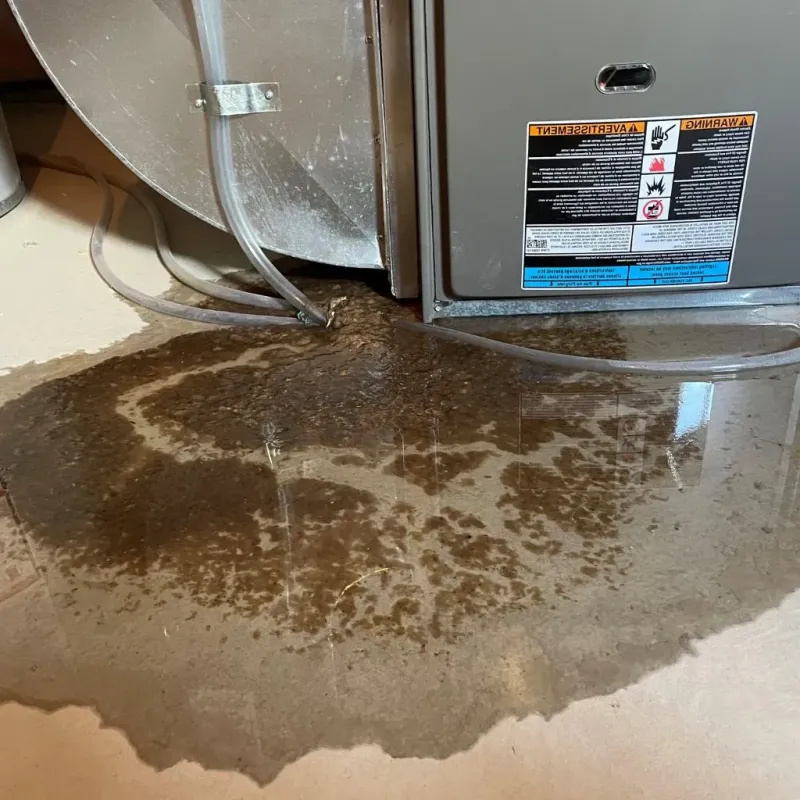 Pipe Burst and Leak Restoration in Cottonwood Heights, UT